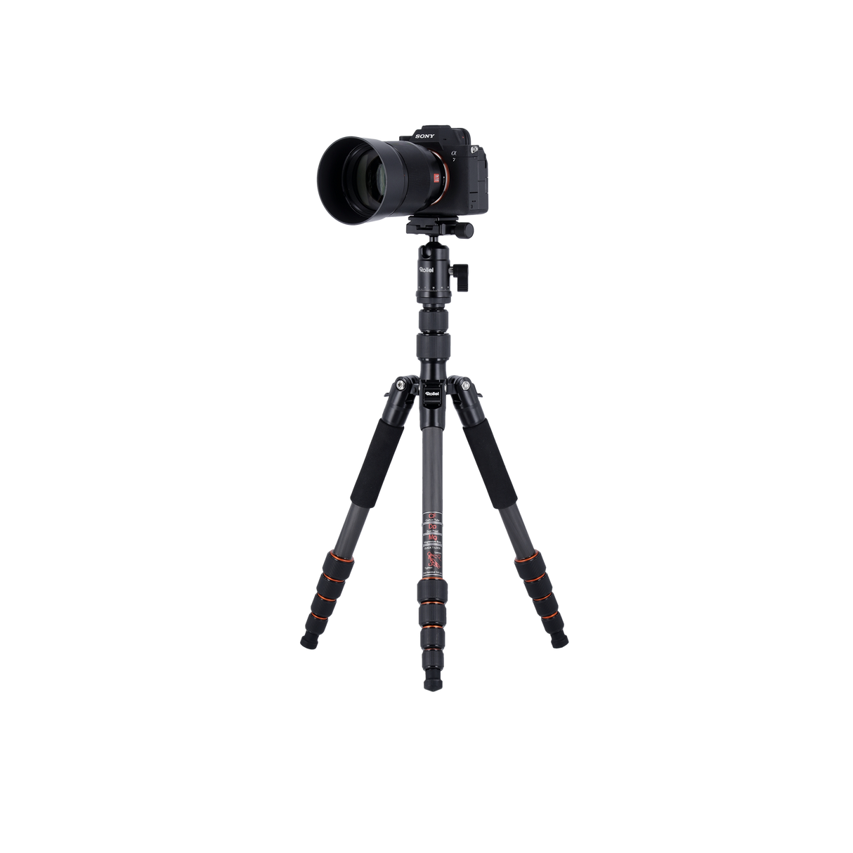 Stativ | Carbon | Compact Traveler No. 1