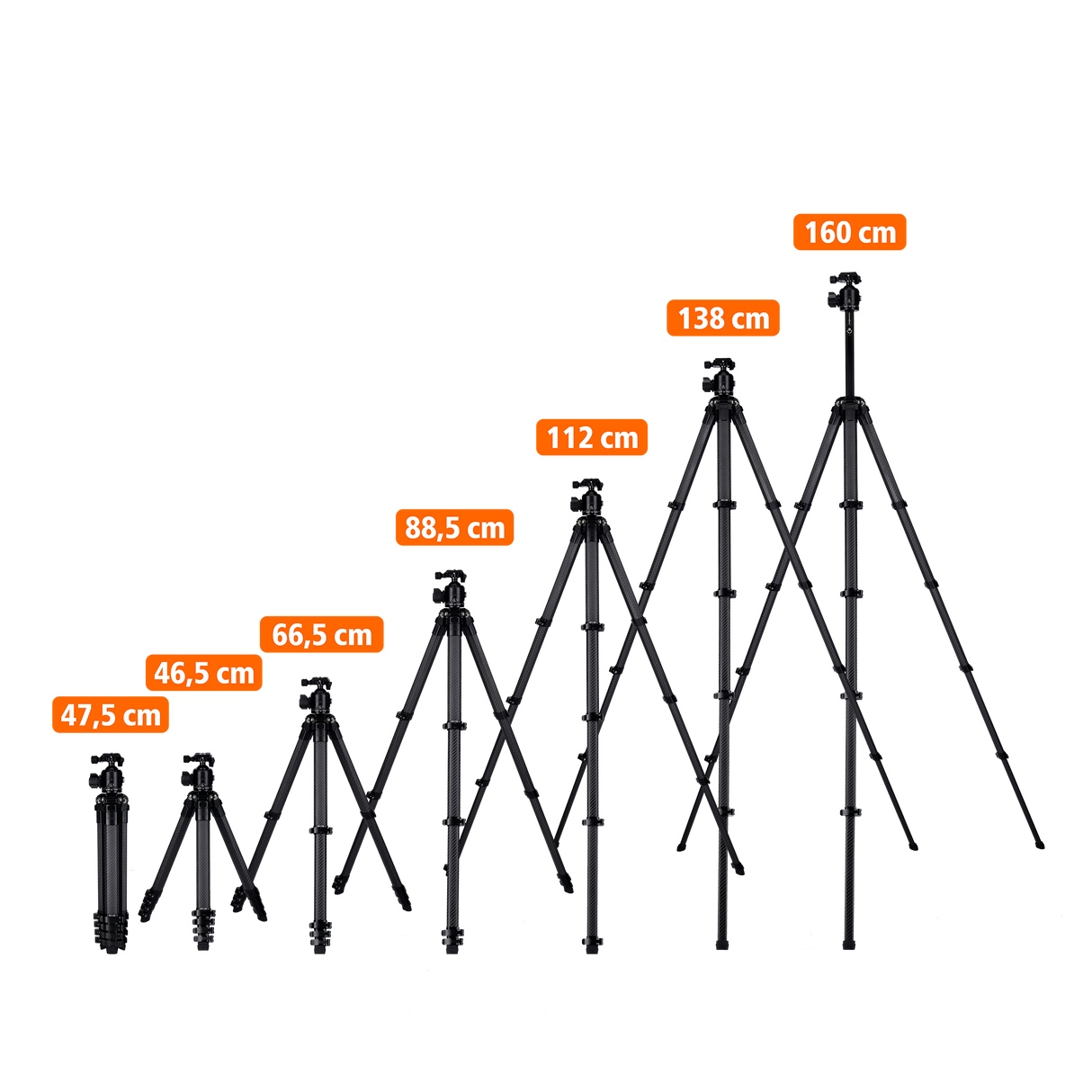 Lion Rock Traveler Pro inkl. Stativkopf | All Black