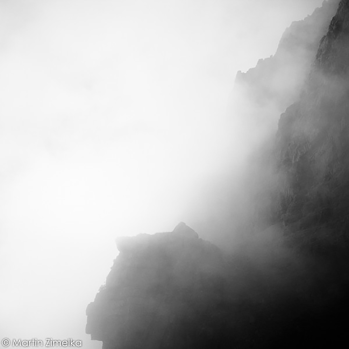 Infrared Schwarzweiß-Negativfilm für Infrarotfotografie | 35 mm & Rollfilm | ISO 400
