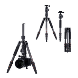 Stativ | Carbon | Compact Traveler No. 1