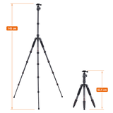 Stativ | Carbon | Compact Traveler No. 1