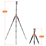 Stativ | Carbon | Compact Traveler No. 1