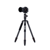 Stativ | Carbon | C6i