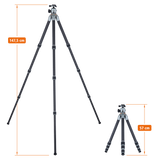 Lion Rock Pro inkl. Stativkopf