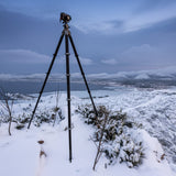 Lion Rock Traveler Pro inkl. Stativkopf