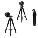 B-Ware: Compact Traveler Star S4