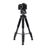 B-Ware: Compact Traveler Star S4