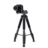 B-Ware: Compact Traveler Star S4