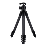 Lion Rock Traveler Pro inkl. Stativkopf | All Black