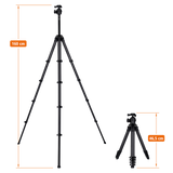 Lion Rock Traveler Pro inkl. Stativkopf | All Black