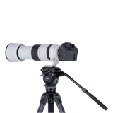 Lion Rock Pro Instinct Video inkl. Stativkopf