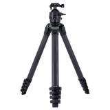 Lion Rock Pro Instinct inkl. Stativkopf